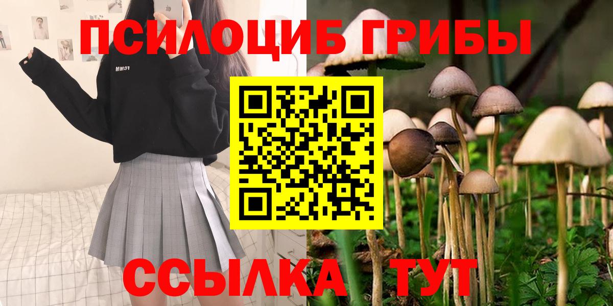 Псков  Галлюциногенные грибы MAGIC MUSHROOMS  Вход с VPN 