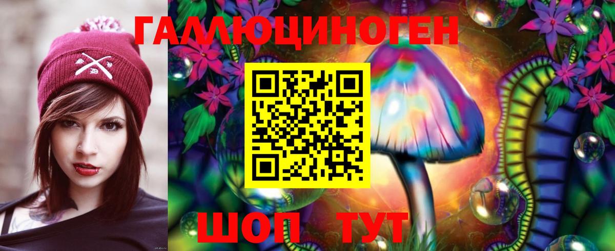 Галлюциногенные грибы Psilocybe Псков